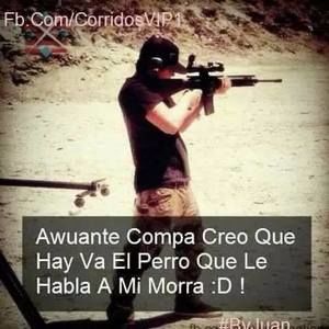 Meet your Posher, Alfonso